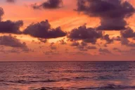 Sarasota Siesta Key Electric Bike Sunset Tour 2 hr thumbnail 3