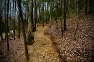 Atlanta Hike and Wine Tasting Tour thumbnail 6