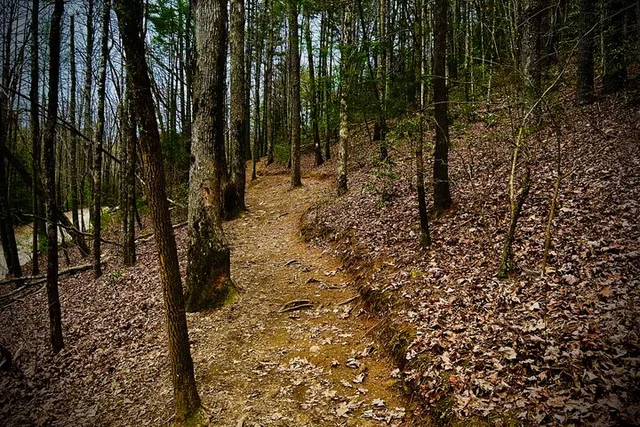 Atlanta Hike and Wine Tasting Tour - Image 6