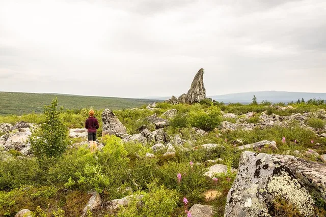 Fairbanks Arctic Circle Expedition - Image 1