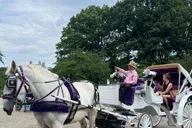 New York Central Park Carriage Ride thumbnail 5