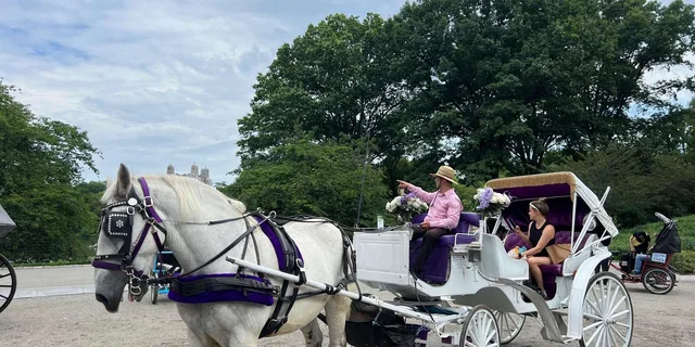 New York Central Park Carriage Ride - Image 5