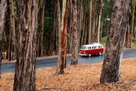 San Francisco VW Bus City Tour 3 hr thumbnail 2