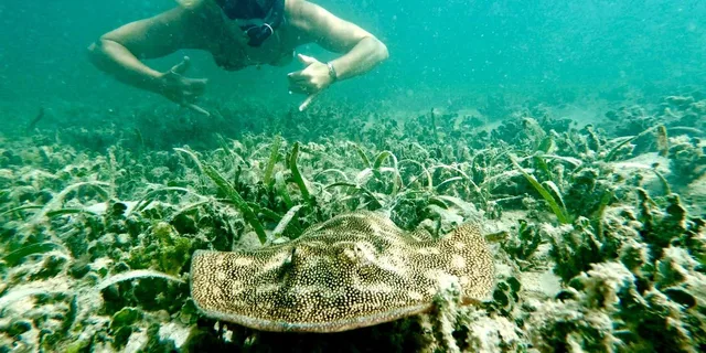 West Palm Beach Scuba Diving Adventure with Videos - Image 5
