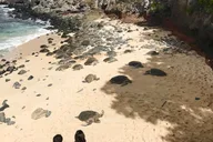 Maui West Maui Tour with Breakfast and Lunch thumbnail 6