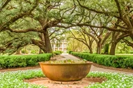 New Orleans Oak Alley Plantation Tour 5.5 hr thumbnail 2