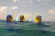Miami Snorkeling Adventure thumbnail 6