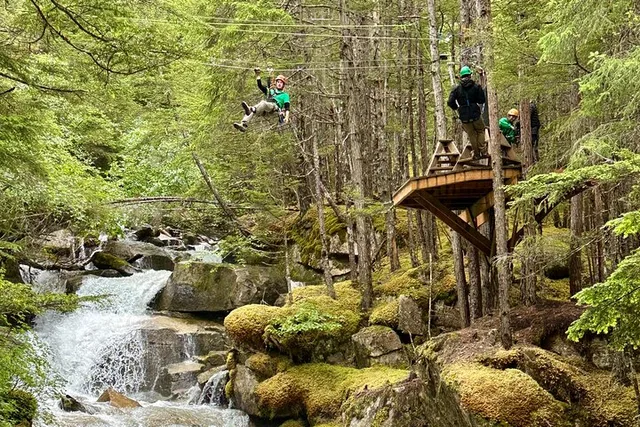 Grizzly Falls Ziplining Expedition in Alaska - Image 1