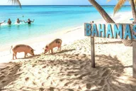 Miami Bahamas Day Trip by Ferry thumbnail 2