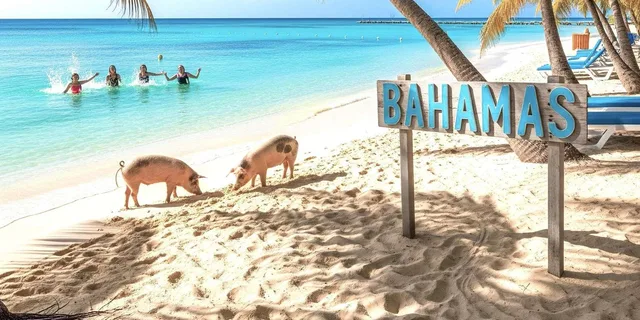 Miami Bahamas Day Trip by Ferry - Image 2