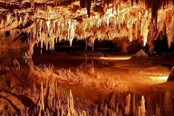 Washington D.C. Shenandoah and Luray Caverns Tour thumbnail 1