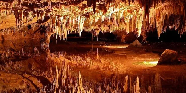 Washington D.C. Shenandoah and Luray Caverns Tour - Image 1