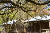 New Orleans Destrehan Plantation Tour 1 hr thumbnail 3
