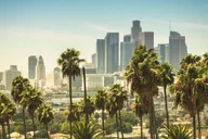 Los Angeles Private Walking Tour with a Local thumbnail 3
