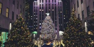 New York City Lights Pedicab Tour
