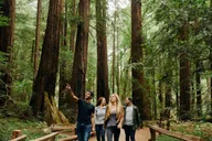 San Francisco Alcatraz, Muir Woods & Sausalito Tour thumbnail 1