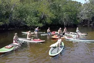 Fort Lauderdale Kayak and Bonnet House Museum Tour thumbnail 4