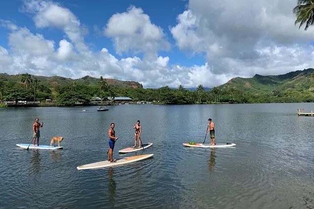 Wailua River Stand Up Paddle Rental - Image 4