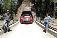 Redwood National Park Private Tour 3-Day thumbnail 3