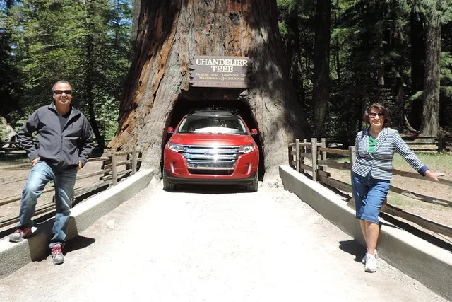 Redwood National Park Private Tour 3-Day - Image 3