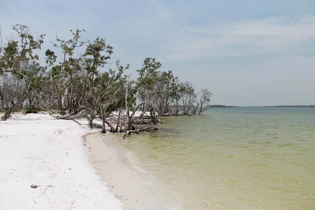 Everglades Motorboat Eco Tour - Image 5