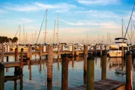 Miami City and Boat Tour thumbnail 6