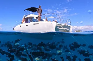 Waikiki Turtle Canyon Snorkel Boat Tour