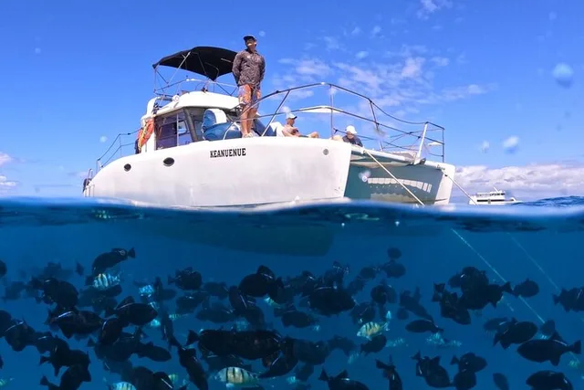 Waikiki Turtle Canyon Snorkel Boat Tour - Image 1
