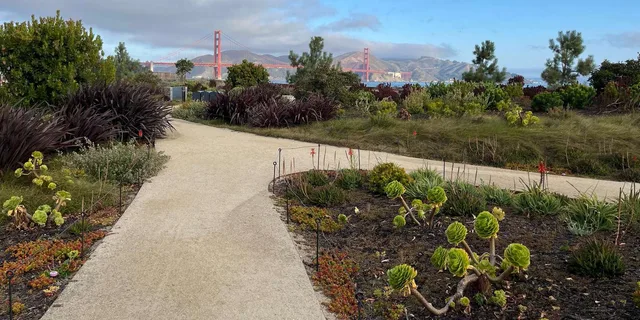 San Francisco Urban Hiking Tour - Image 1