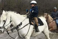Austin Horsemanship Trail Ride 3.5 hr thumbnail 3