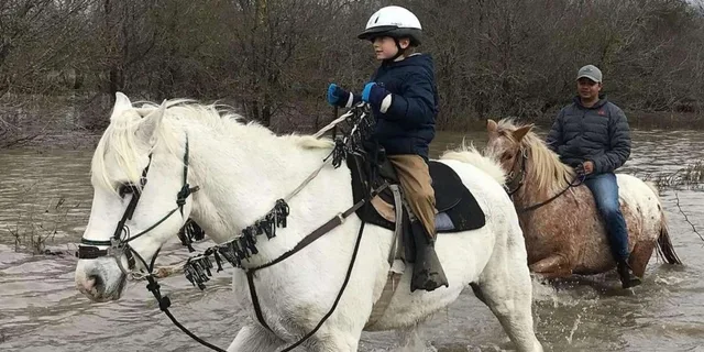 Austin Horsemanship Trail Ride 3.5 hr - Image 3