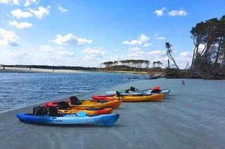 North Myrtle Beach Kayak Salt Marsh Tour