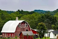 Washington D.C. Amish Farm and Village Tour thumbnail 3