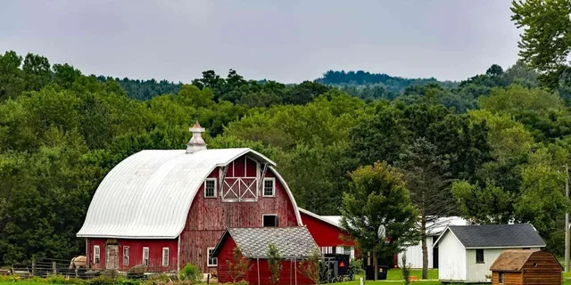 Washington D.C. Amish Farm and Village Tour - Image 3
