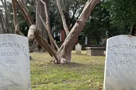 Williamsburg Walking Tour of Death and History 1.5 hr thumbnail 3