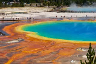 Yellowstone Private Guided Tour
