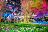 Philadelphia Flower Show Day Tour from Washington DC thumbnail 1