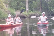 Jacksonville Kayak Rental Adventure on Ortega River thumbnail 5