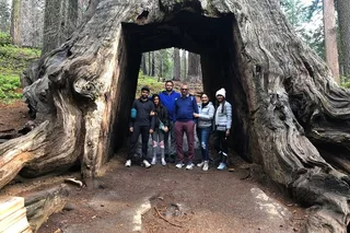 Groveland Big Trees Hike & Riverside Cookout