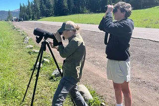Cody Wildlife Safari in Lamar Valley