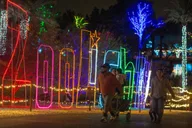 Phoenix ZooLights Entry Ticket thumbnail 3