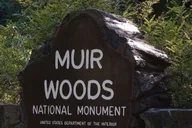 San Francisco Muir Woods, Sausalito, and Tiburon Day Trip thumbnail 1