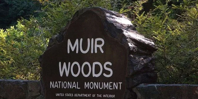 San Francisco Muir Woods, Sausalito, and Tiburon Day Trip - Image 1