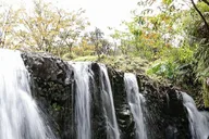 Maui Road to Hana Tour with Waterfalls and Beaches thumbnail 5