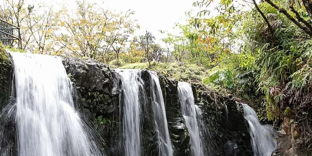 Maui Road to Hana Tour with Waterfalls and Beaches - Image 5