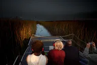 Evening Airboat Ride in Kissimmee thumbnail 1