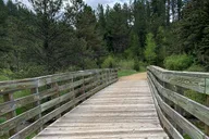 Black Hills Mickelson Trail Bicycling Tour thumbnail 6