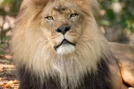 Bronx Zoo Entry Ticket thumbnail 6