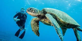 Maui Scuba Diving Introductory Lesson from Lahaina
