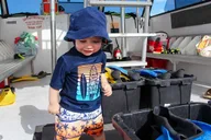 Destin Snorkeling and Dolphin Cruise 2.5 hr thumbnail 3